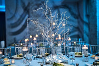 Event Centerpieces