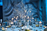Event Centerpieces
