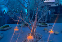 Event Centerpieces