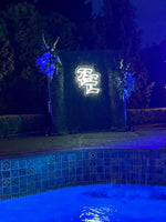 Greenery Wall