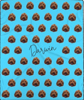 Kashmere lined Dog Picture Blanket