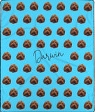 Kashmere lined Dog Picture Blanket