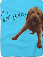 Kashmere lined Dog Picture Blanket