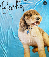 Custom Dog Picture Blanket