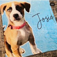Custom Dog Picture Blanket