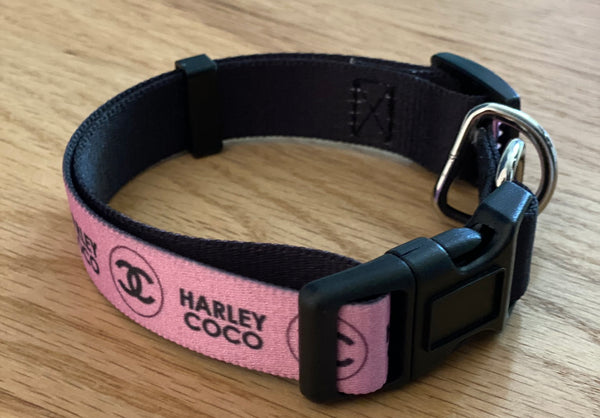 Personalized Dog Collar – 360 Creative Approach