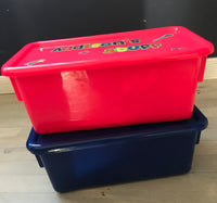 Shoe Box-Sized Storage Box