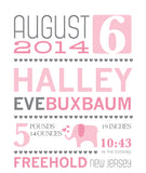 Baby Girl Announcement Print