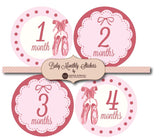Baby Monthly Stickers- Various Types