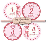 Baby Monthly Stickers- Various Types