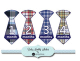 Baby Monthly Stickers- Various Types