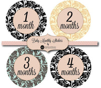 Baby Monthly Stickers- Various Types