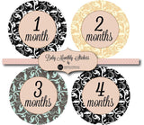 Baby Monthly Stickers- Various Types