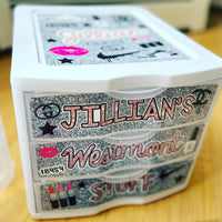 Custom Storage Bins