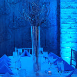 Event Centerpieces